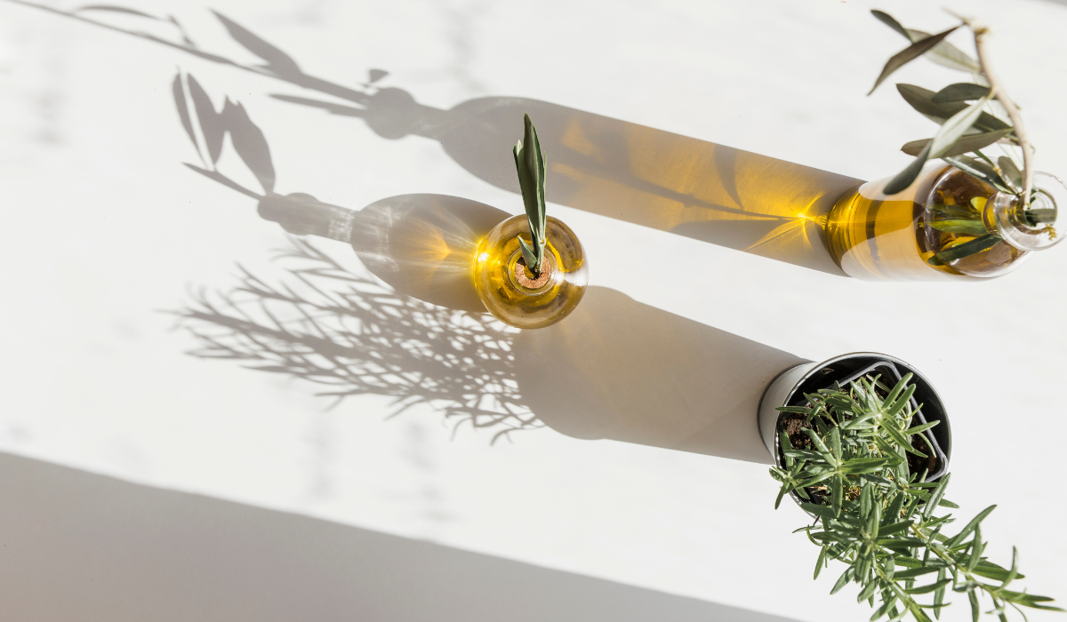 Romero: una hierba aromática llena de beneficios